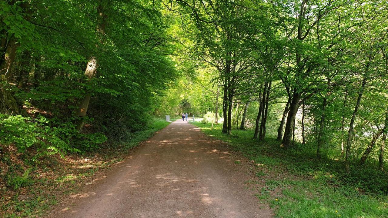 Ferienwohnung Am Saarweg Merzig Εξωτερικό φωτογραφία